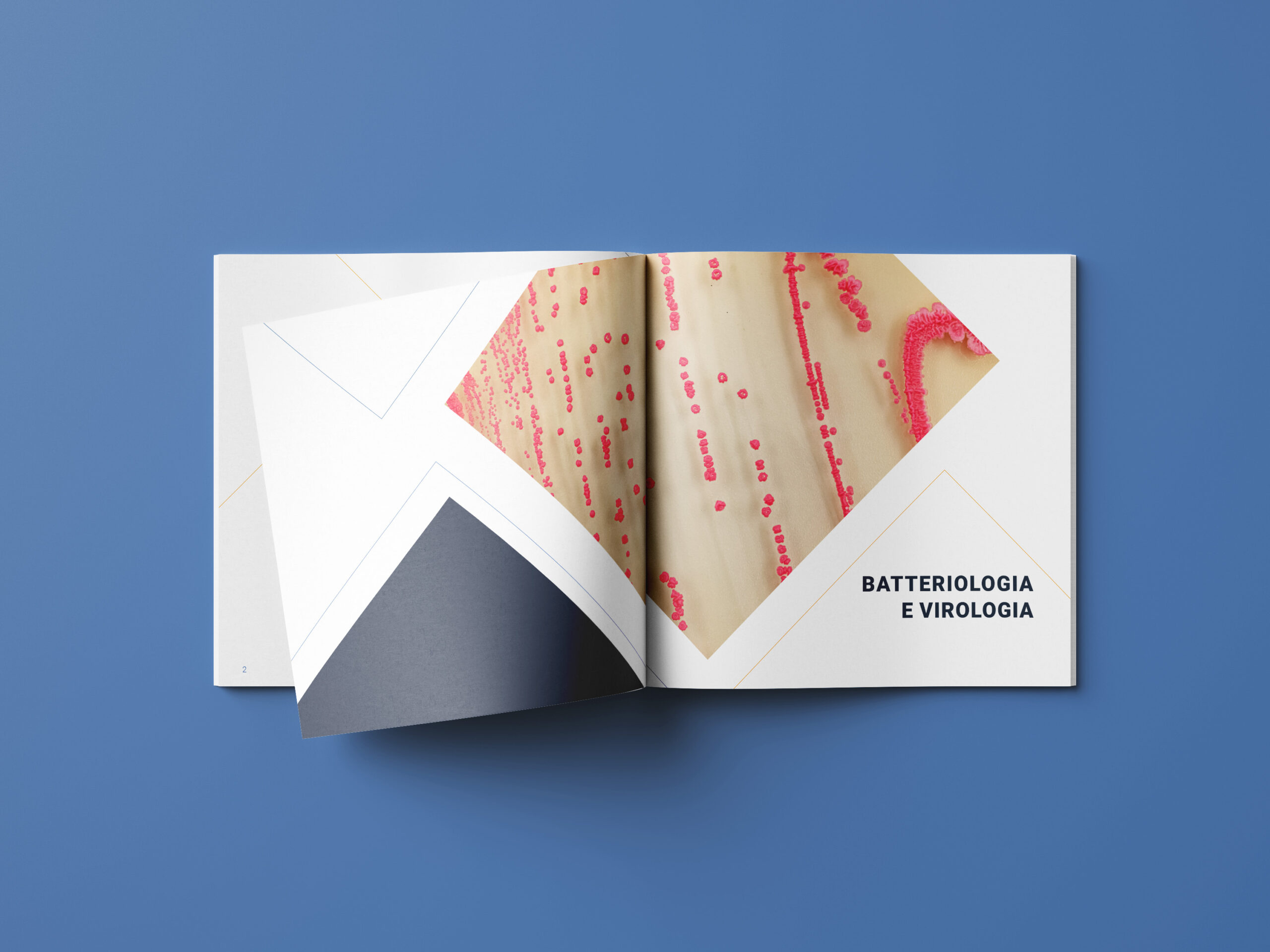 Mockups Design