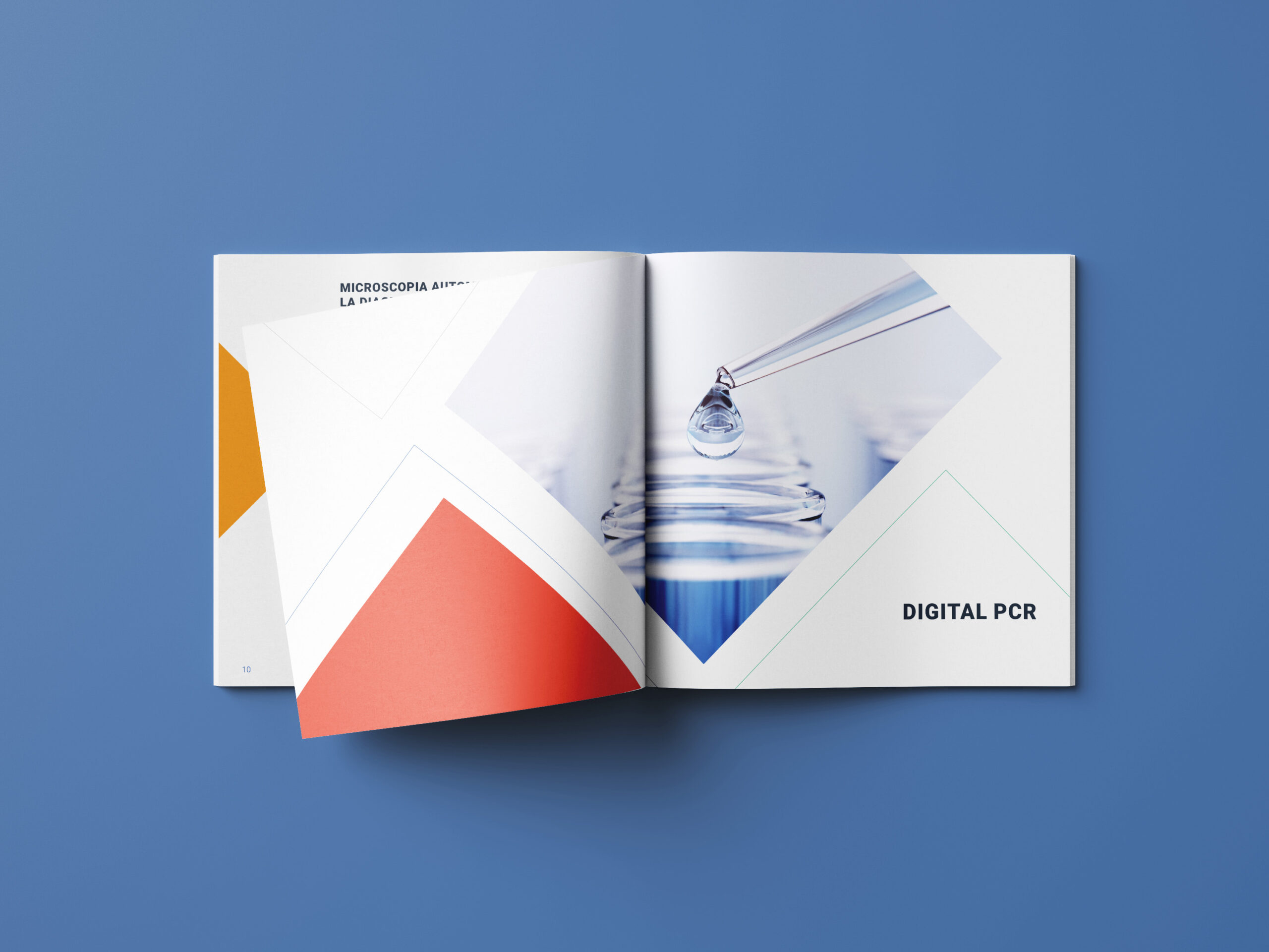 Mockups Design